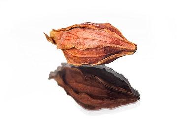 《俄罗斯方块99》28回王者杯 联动《宝可梦传说 阿尔宙斯》预告